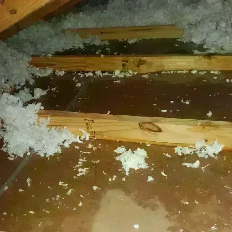 Attic Water Damage in Glenmoor, OH